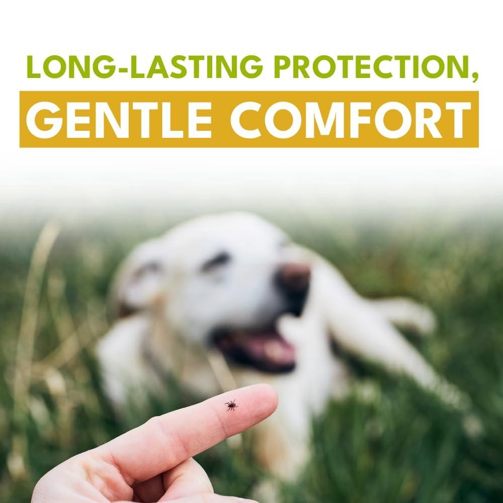 🛡️ Flea & Tick Repellent Spray (Pack of 2) | Safe Pet Protection 🐶🐱✨
