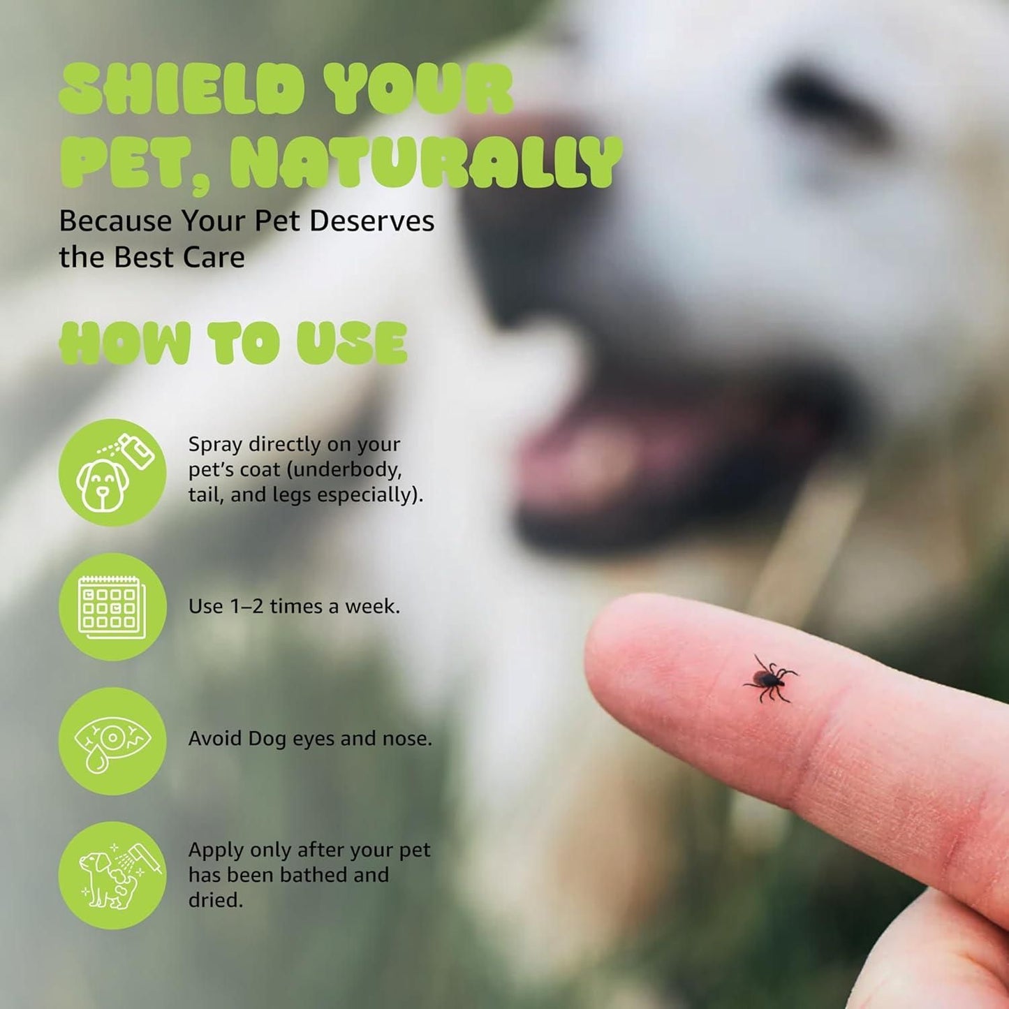 🛡️ Flea & Tick Repellent Spray (Pack of 2) | Safe Pet Protection 🐶🐱✨