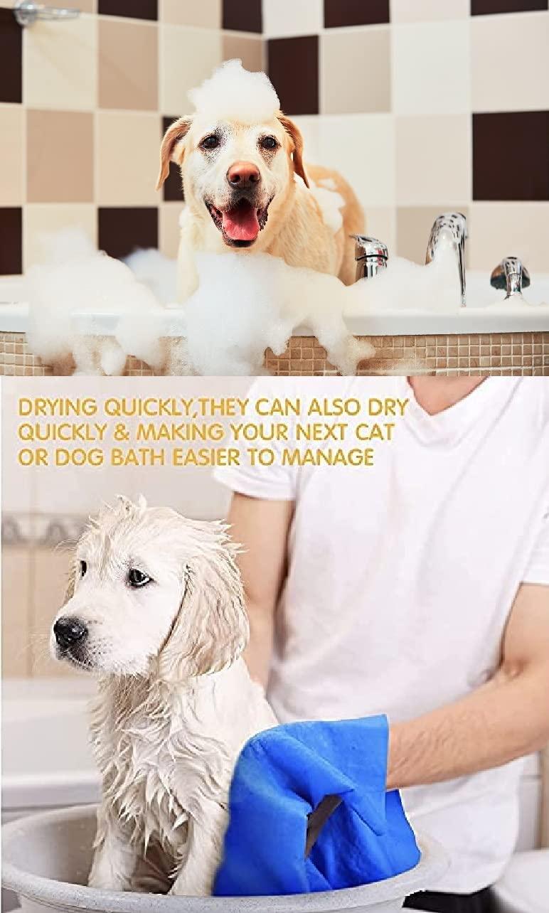 13886