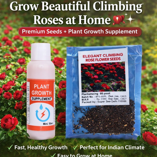 🌹 Elegant Climbing Rose Seeds 🌿 | Fast Growth Boost Formula