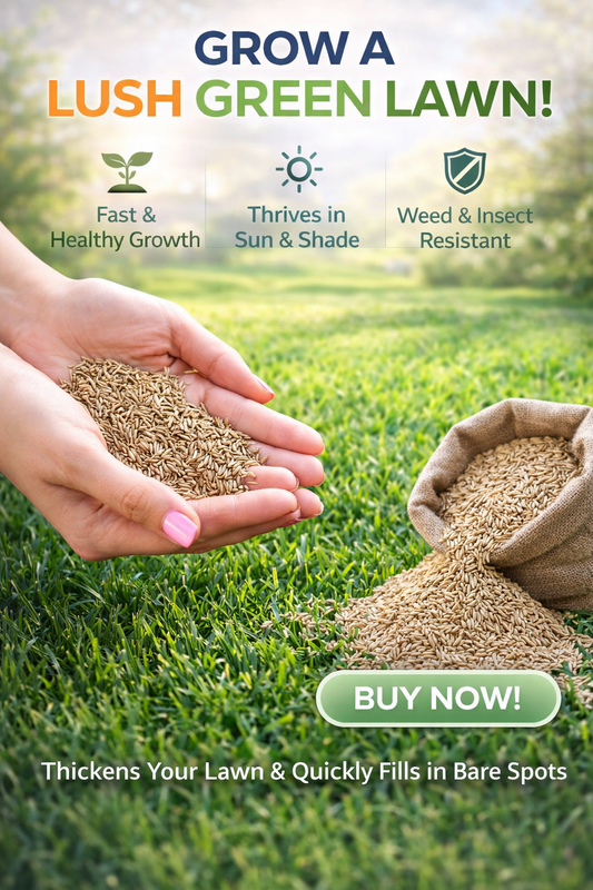 ✨ Premium Hybrid Grass Seeds | Lush Green Lawn 🌿🏡