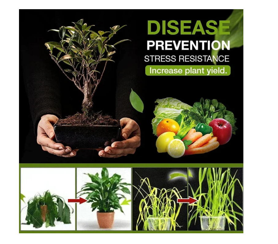 🌱 Soil Active Treasure Mix 🌿 | Premium Fertile Potting Soil (Pack of 2)