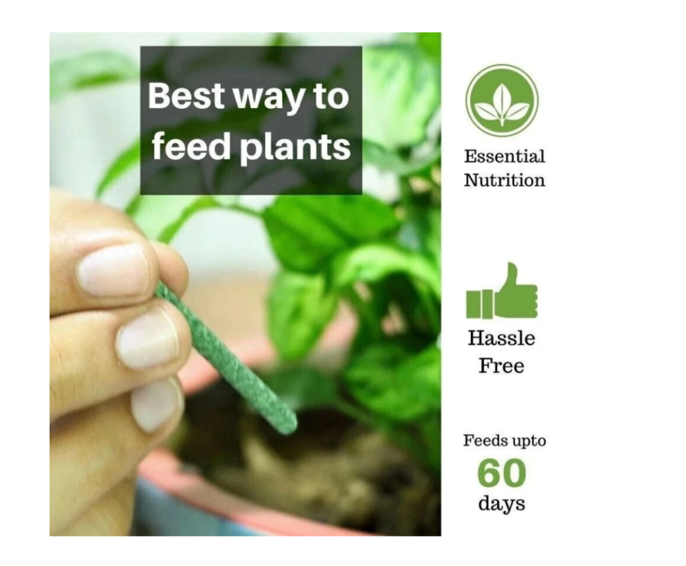 🌱 Plant Growth Booster Sticks 🌿 | Fertilizer Sticks (Buy 1 Get 2 Free)